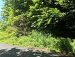 xxx s dillard avenue, concrete,  WA 98237