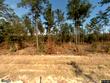 799 harmony hall ln, round o,  SC 29474