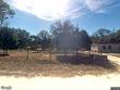  webster,  FL 33597