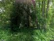 213 lincolnshire boulevard, columbia,  SC 29203