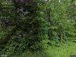 1801 n 134th st, kansas city,  KS 66109