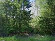 32 north mud cove road, lily bay twp,  ME 04441