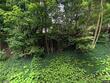 1208 hulings rd, linden,  PA 17744