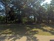 3131 faust ave, ozark,  AL 36360