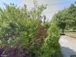 4428 n drury ave, kansas city,  MO 64117