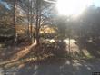 33 windsor hill way #85
                                ,Unit 85, waterville valley,  NH 03215