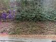 321 flatwoods rd, creston,  NC 28615