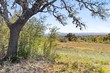 716 summit ridge trail, johnson city,  TX 78636