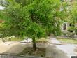3302 auchentoroly ter, baltimore,  MD 21217