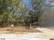 4804 kalmia cir, middleburg,  FL 32068