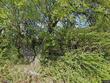 1090 gore rd, raymore,  MO 64083