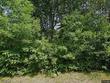 150828 aster rd, wausau,  WI 54401