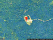 157 durgin rd, south paris,  ME 04281