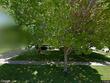 205 bernita dr nw, cedar rapids,  IA 52405