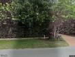 247 s beach rd, hobe sound,  FL 33455