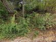 3765 three top rd, todd,  NC 28684