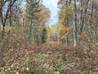 lot on cth f, lac du flambeau,  WI 54538