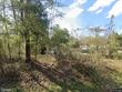 4598 calendula ave, middleburg,  FL 32068
