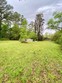 1336 skipperville rd, ozark,  AL 36360