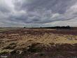  dundee,  FL 33838