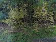 1986 old route 17, windsor,  NY 13865