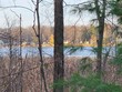 5+/- acres browns, lake,  MI 48632