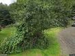2172 hartzog ford rd, west jefferson,  NC 28694