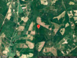 2512 kelly bay road, walterboro,  SC 29488