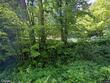 14 tucker rd, buckfield,  ME 04220