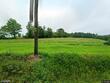 4435 moreland baptist rd, muncy,  PA 17756