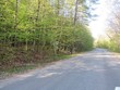 lot #2 griffin rd, wells,  NY 12190