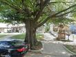119 s 15th st, kansas city,  KS 66102