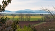 16084 tulip ln, bow,  WA 98232
