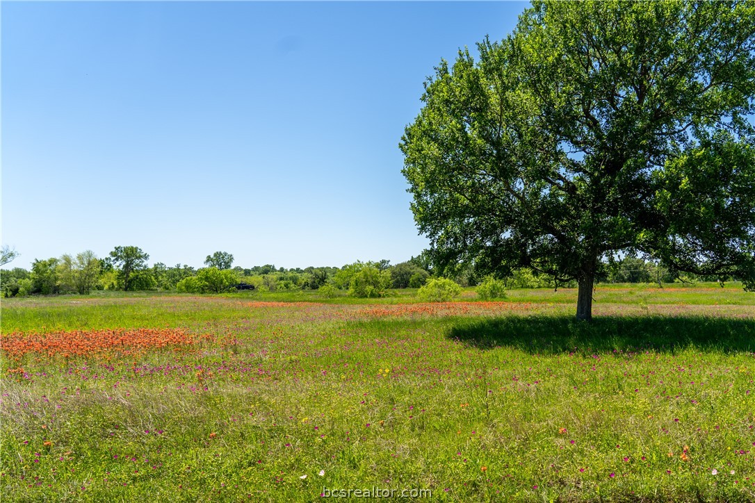 lot 29 brazos court, caldwell,  TX 77836