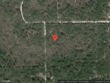 3190 nw 70th way, bell,  FL 32619