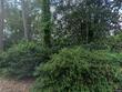 columbia,  SC 29206