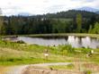  mount vernon,  WA 98274