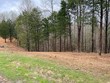 lot 1 willow grove hwy, allons,  TN 38541