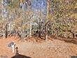 808 n lincoln st, benson,  NC 27504