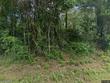 1793 trice cemetary rd, thomaston,  GA 30286