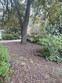 3626 wilmot ave, columbia,  SC 29205