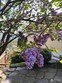 2310 20th st, anacortes,  WA 98221