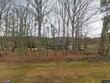 3684 ben mil ct, franklinton,  NC 27525
