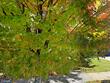3804 ridgecroft rd, baltimore,  MD 21206