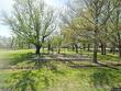 2392 ne h hwy, turney,  MO 64493