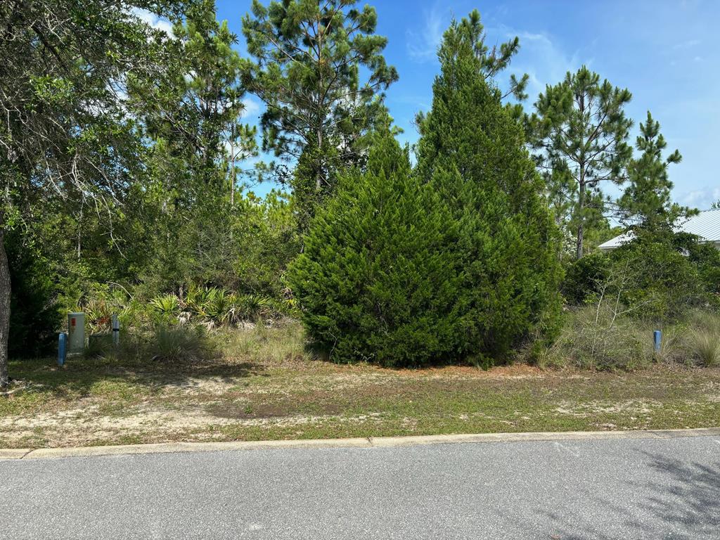 lot 9 shallow reed dr, port st. joe,  FL 32456