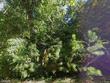 108 timber knoll dr, irmo,  SC 29063