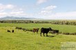 6058 cottonwood creek rd, lewistown,  MT 59457