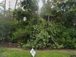  naples,  FL 34110