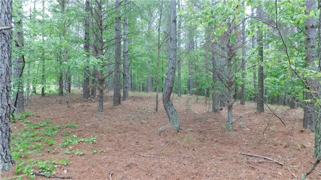 5.59 acres larmon forks road, dahlonega,  GA 30533